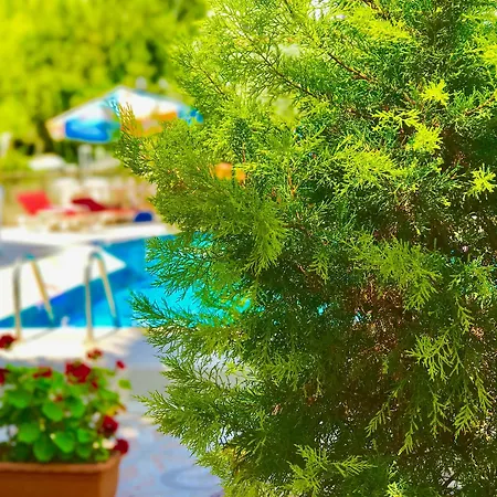 Nehir Lägenhetshotell Fethiye
